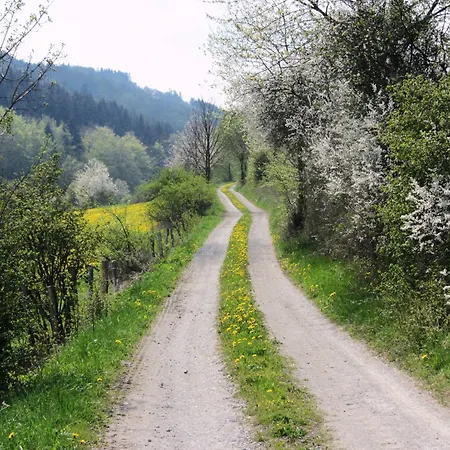 Moderne In Kuestelberg * Medebach