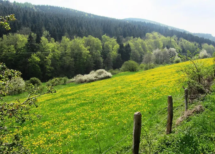 빌라 Moderne In Kuestelberg *