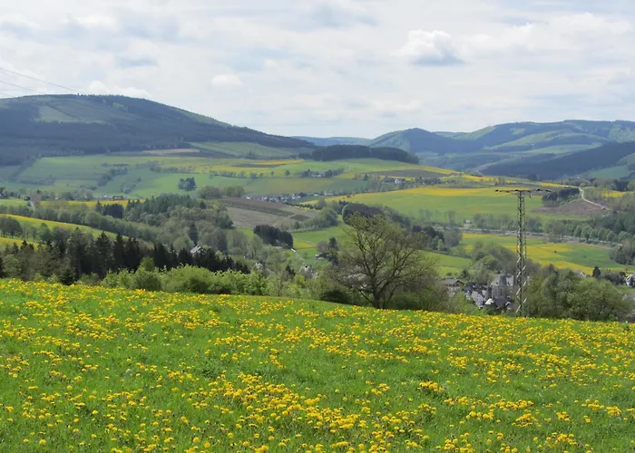 Moderne In Kuestelberg * Medebach