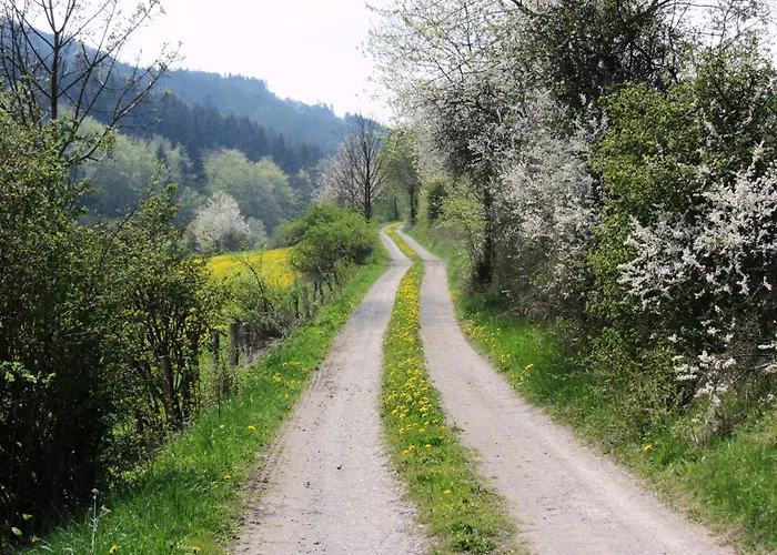 Moderne In Kuestelberg * Medebach